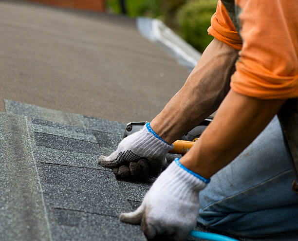Best Storm Damage Roof Repair  in Punxsutawney, PA